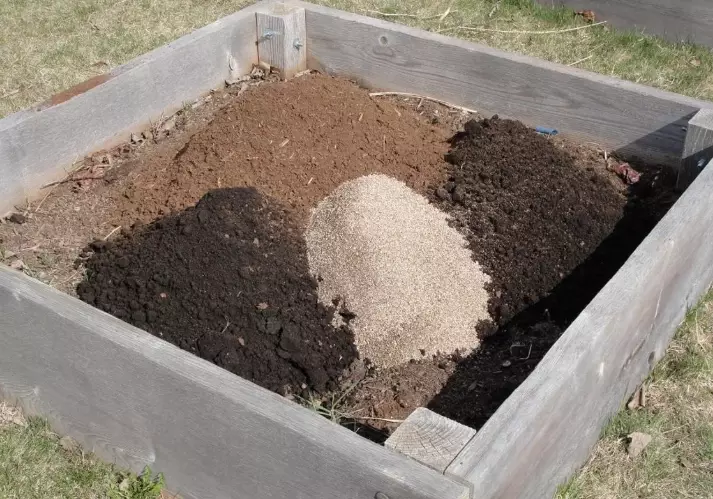 vegetable garden soil
