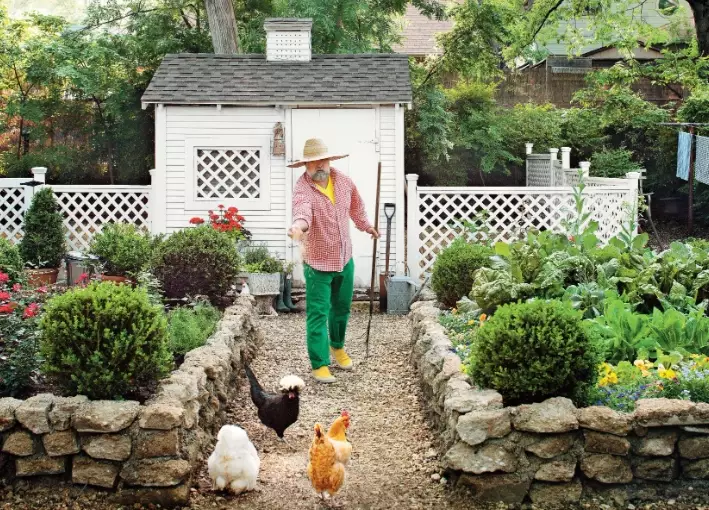 chicken garden ideas chicken garden ideas