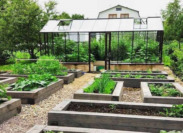 vegetable garden layout