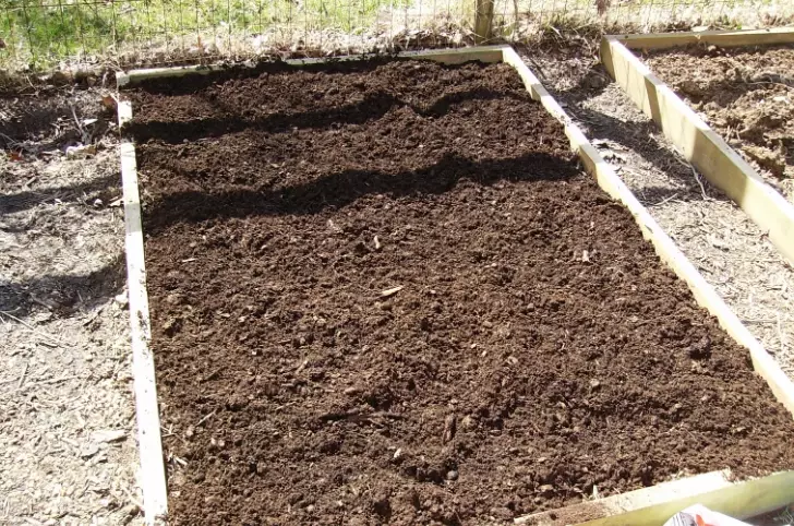 raised bed soil mix