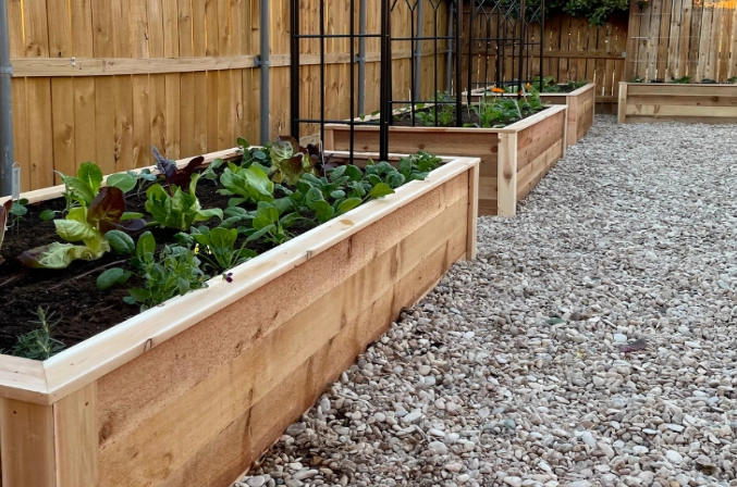best soil for raised beds
