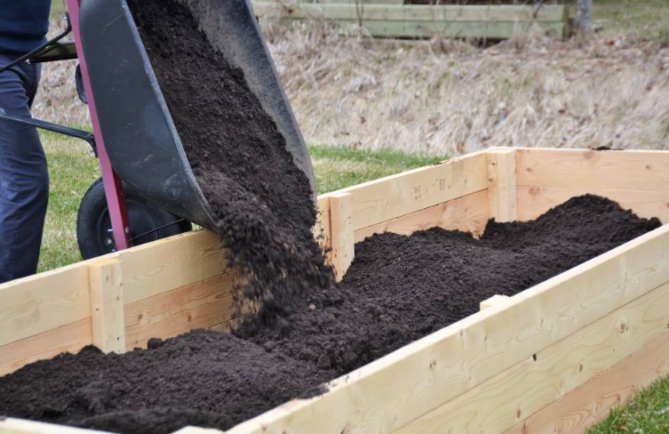 raised bed soil mix