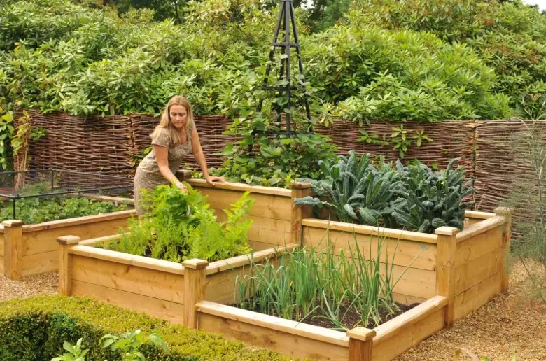 raised garden bed ideas