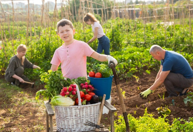 homesteading for beginners