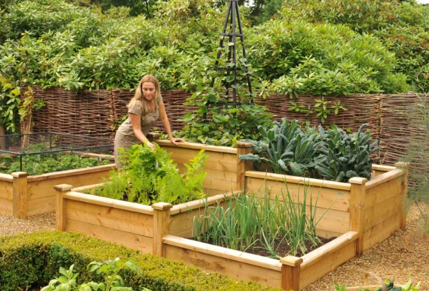 how to build a raised garden bed