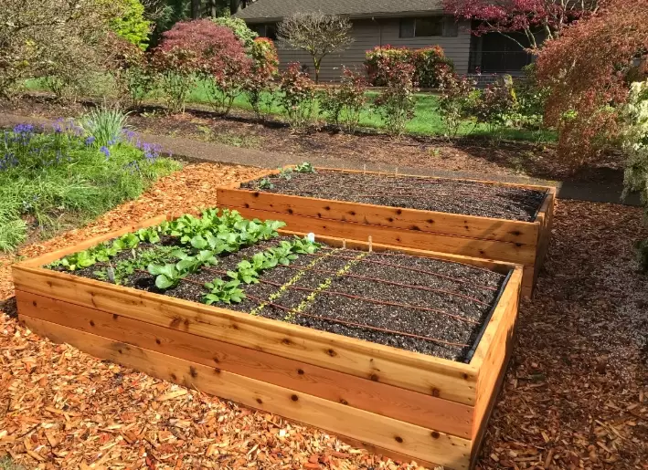 best soil for raised garden beds