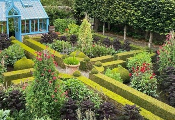 growing food in your yard