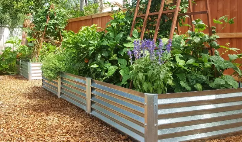 raised garden beds raised garden beds
