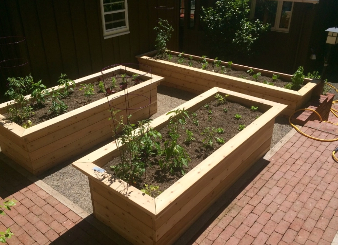 vegetable garden beds vegetable garden beds