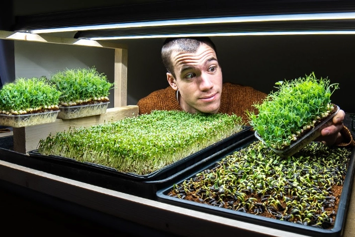 how to grow microgreens