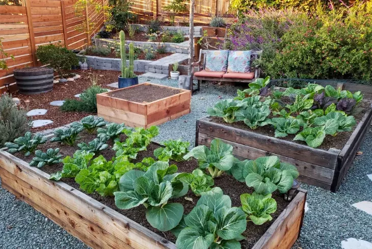 raised garden beds raised garden beds