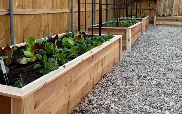 raised bed garden soil mix