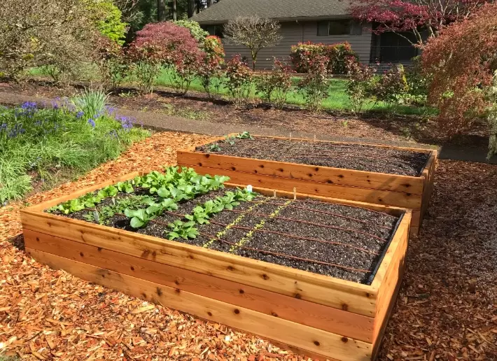 best soil for vegetable raised beds