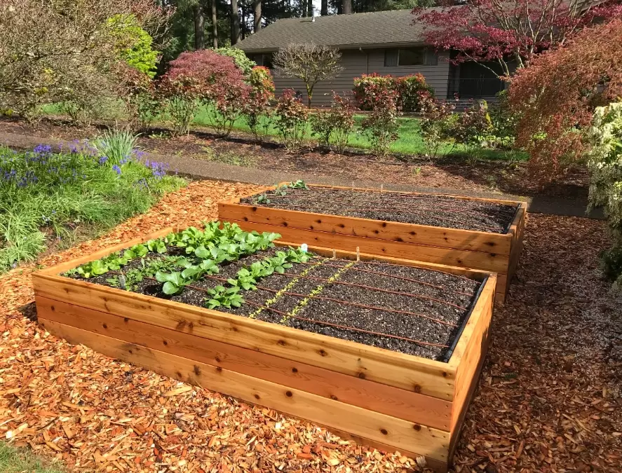 how to build a raised garden bed