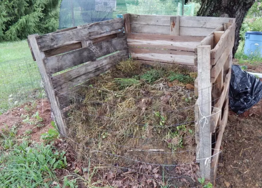diy compost pile guide