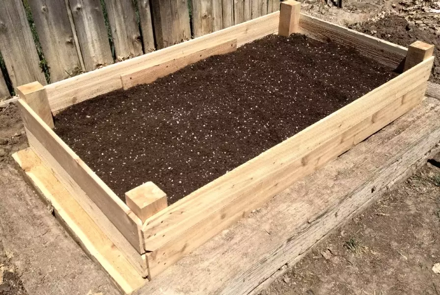 raised bed soil mix