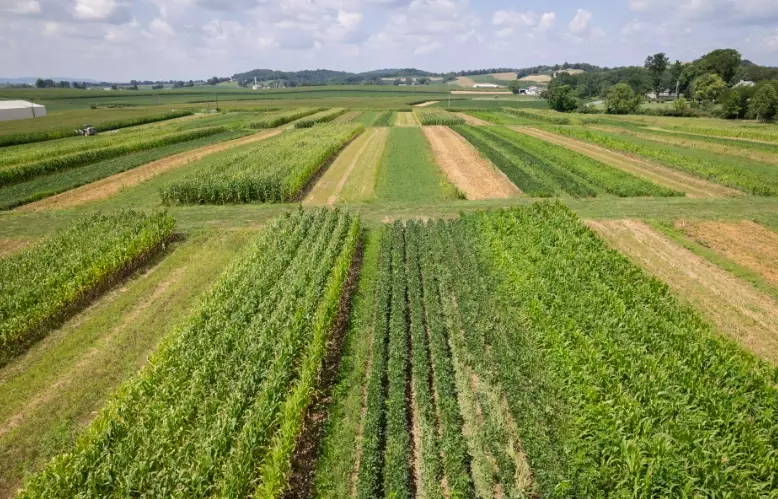 crop rotation examples