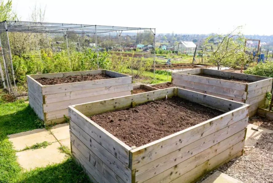 best soil for raised beds