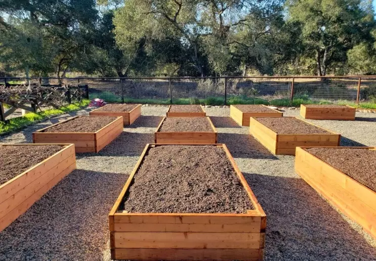 best soil for raised bed gardening