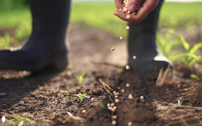 winter sowing method winter sowing method