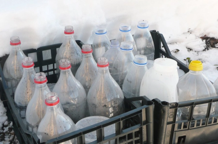 how to winter sow seeds how to winter sow seeds