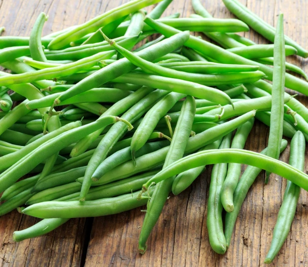 planting green bean seeds
