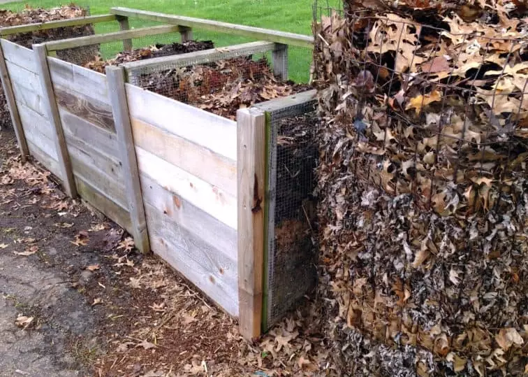 compost heap for beginners