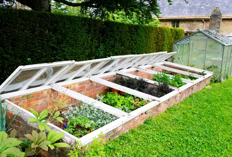 cold frame gardening