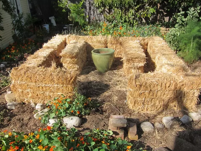 growing vegetables in straw bales