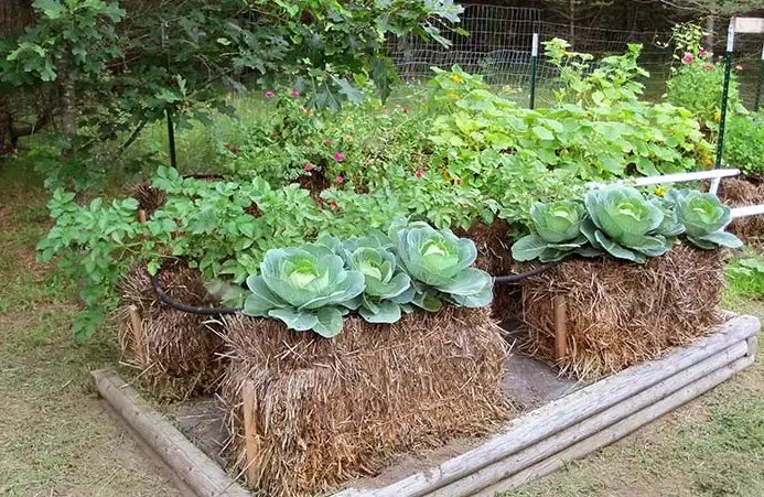 how to condition a straw bale