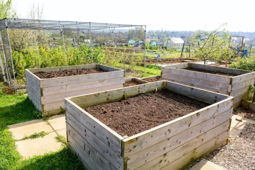 best soil for raised garden beds