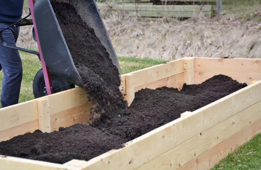 raised bed soil mix