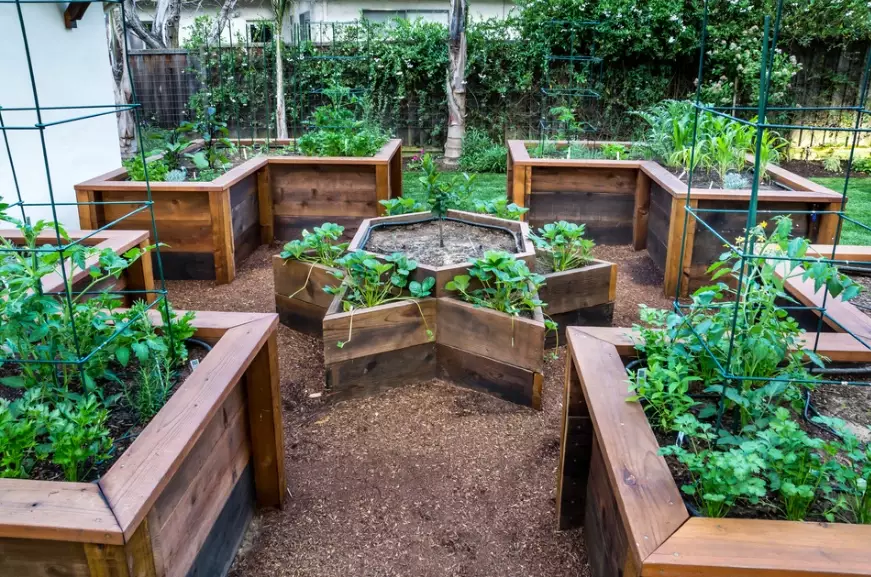 how to build a raised garden bed