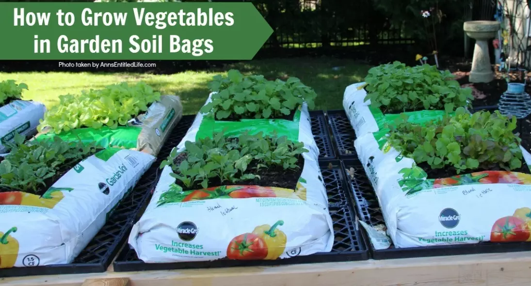 grow bags for vegetables