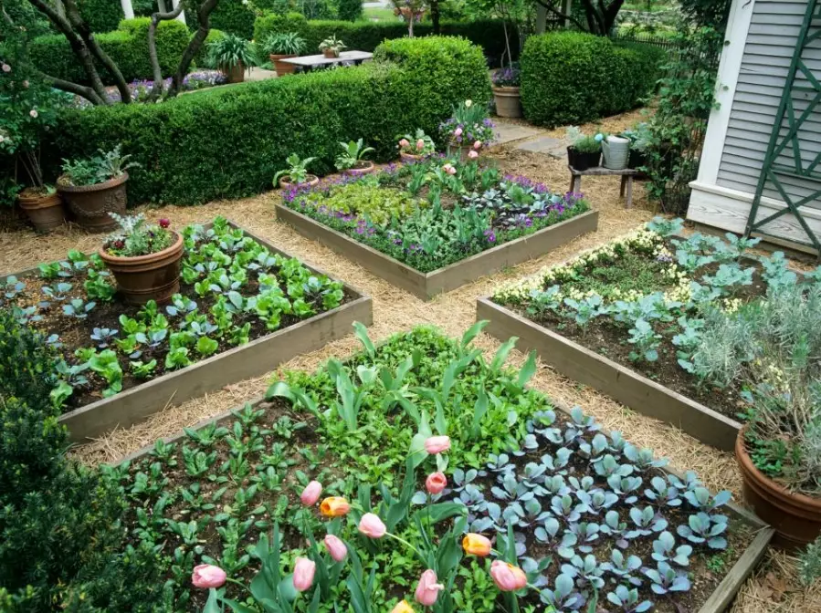 how to build a raised garden bed