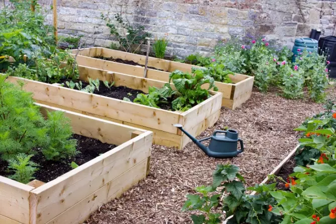 best soil for raised garden beds