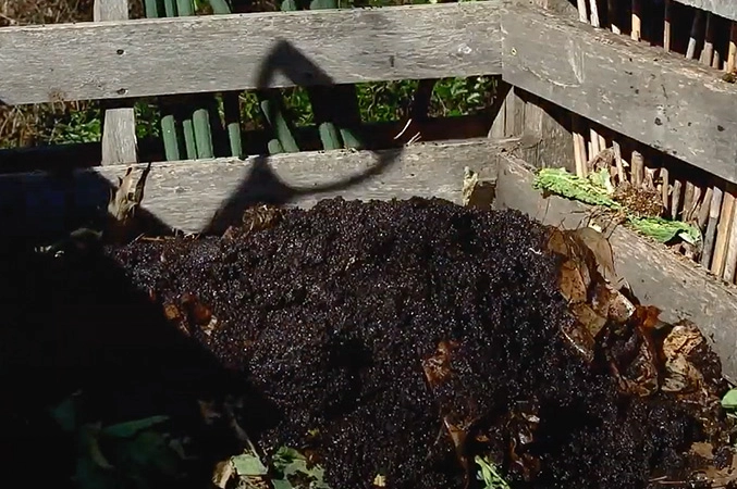 coffee grounds compost