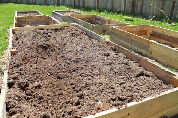 potting soil vs garden soil for raised beds