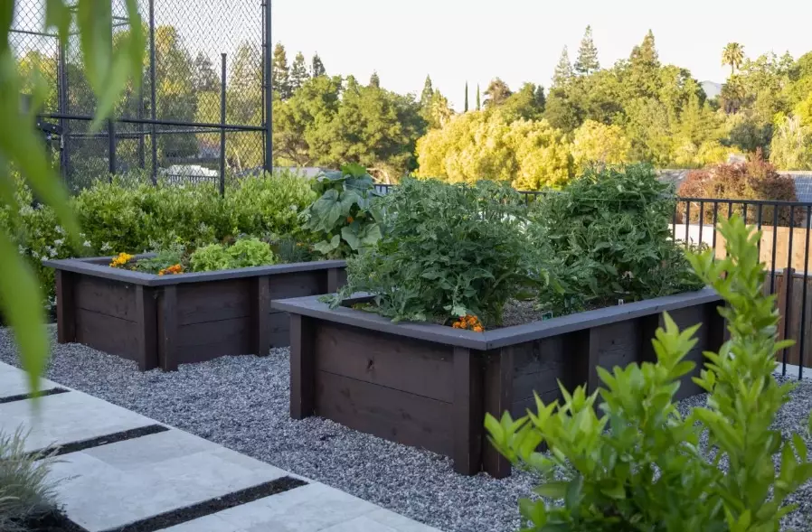 raised bed gardening