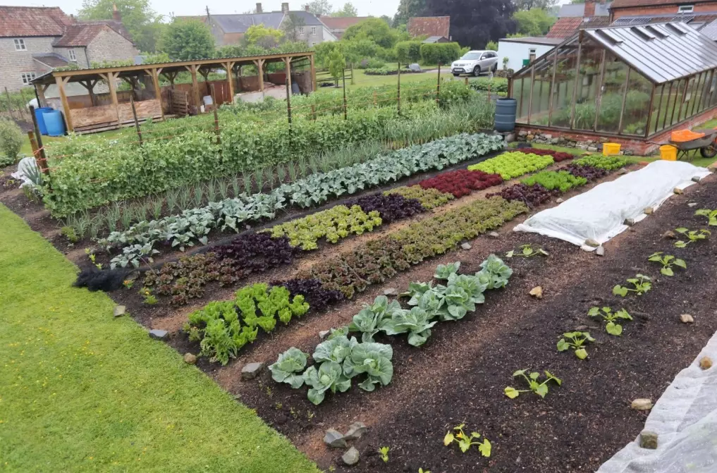 no dig garden beds no dig garden beds