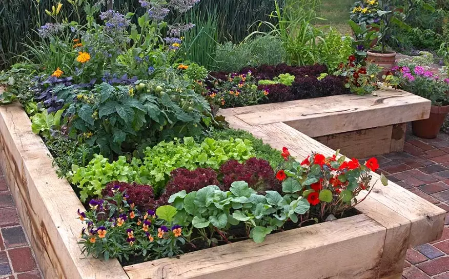 raised garden beds