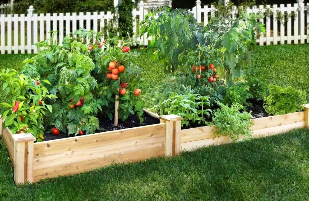 best plants for raised garden beds best plants for raised garden beds