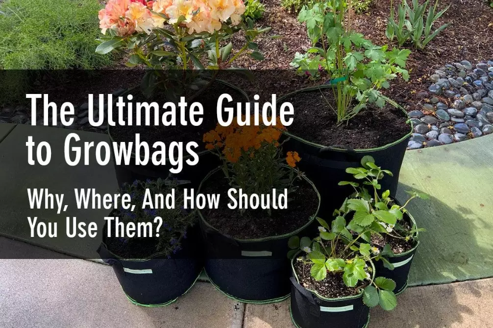 grow bags gardening grow bags gardening