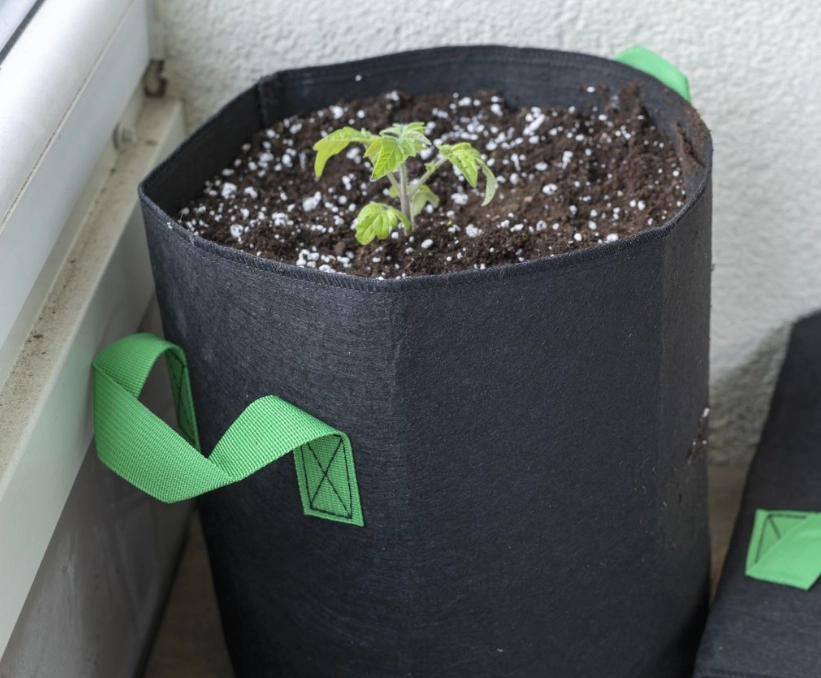 using grow bags using grow bags