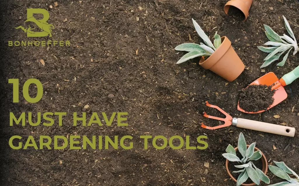 best garden tools for beginners
