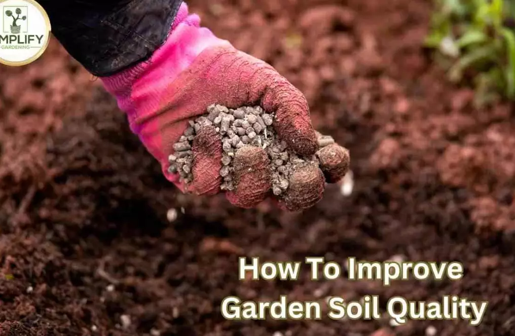 amend garden soil
