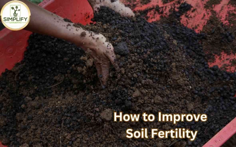 soil enrichment soil enrichment