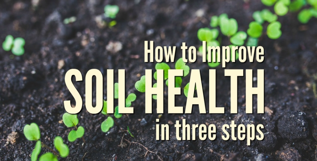 how to improve soil quality