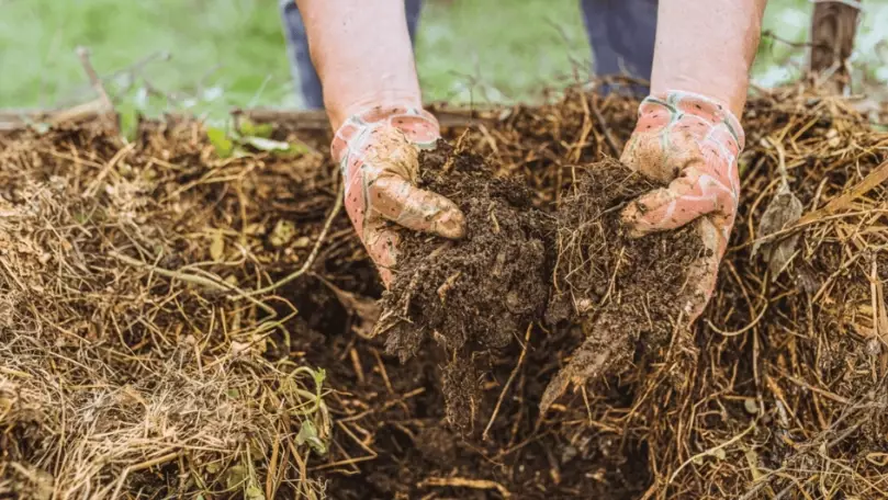 how to improve soil quality how to improve soil quality