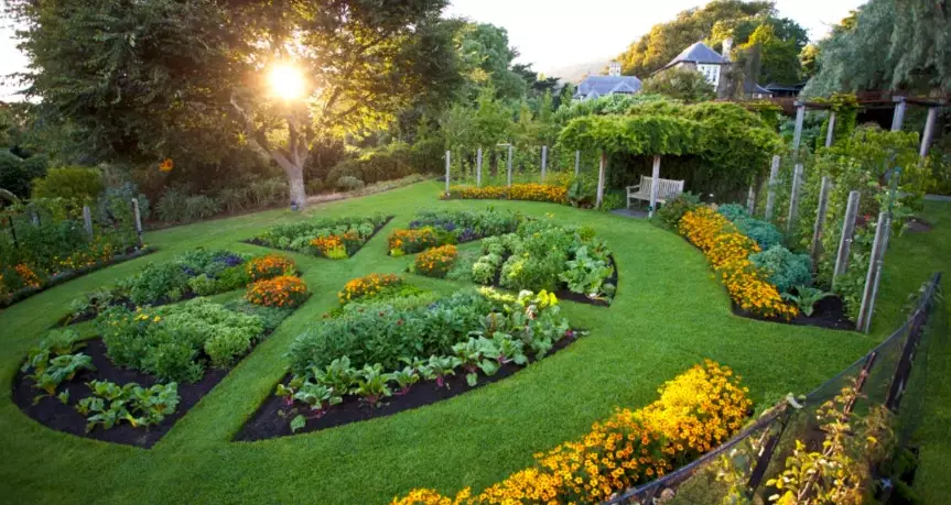 small space vegetable gardening small space vegetable gardening